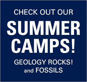 Check out our Summer Camps! Geology Rocks and Fossils.
