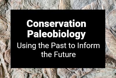 Online Exhibit Conservation Paleobiology
