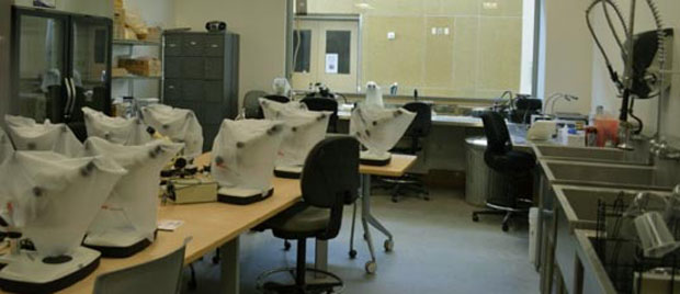 Sample Processing Laboratory