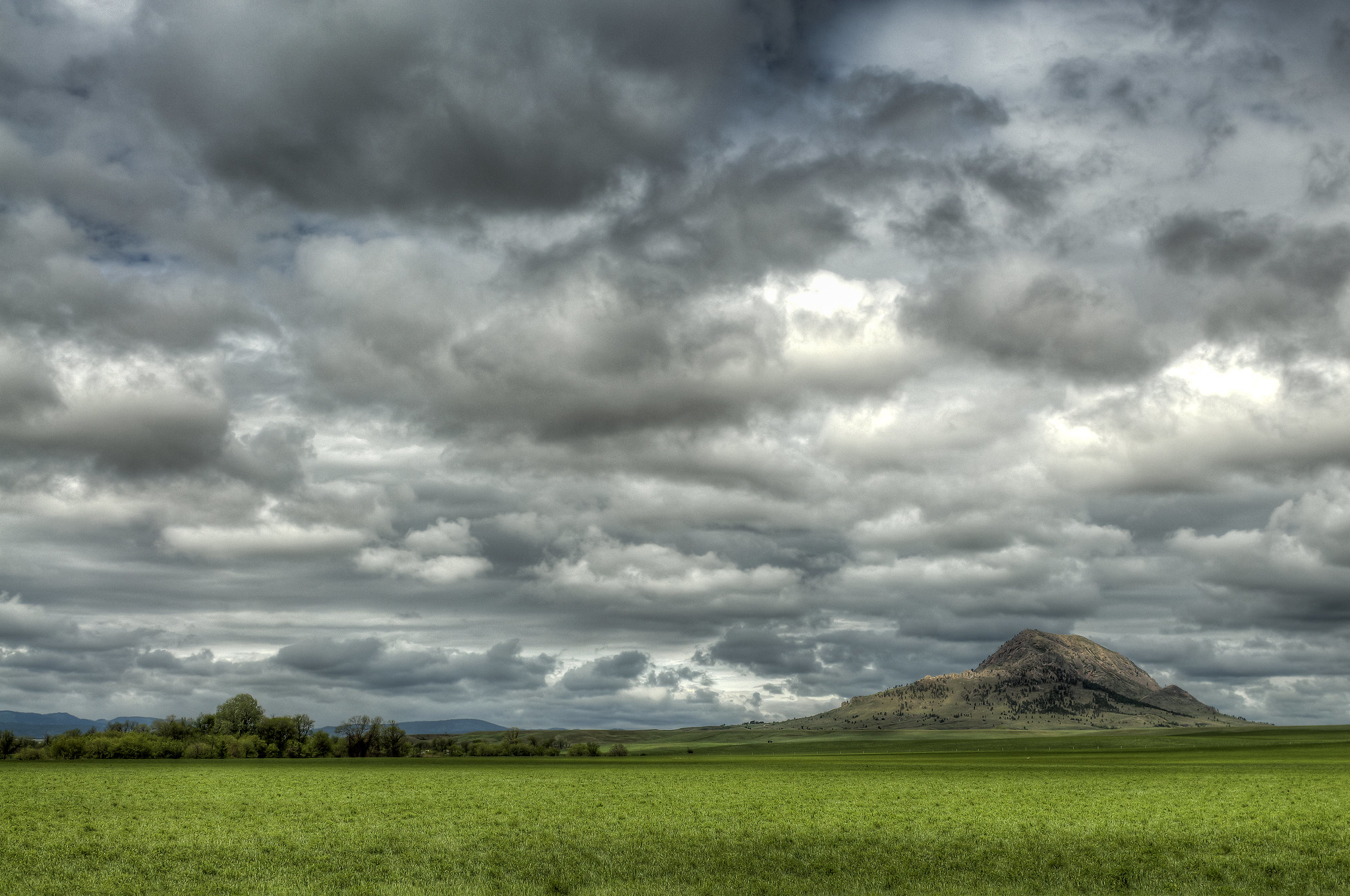 Landscape with grass and cloudy sky