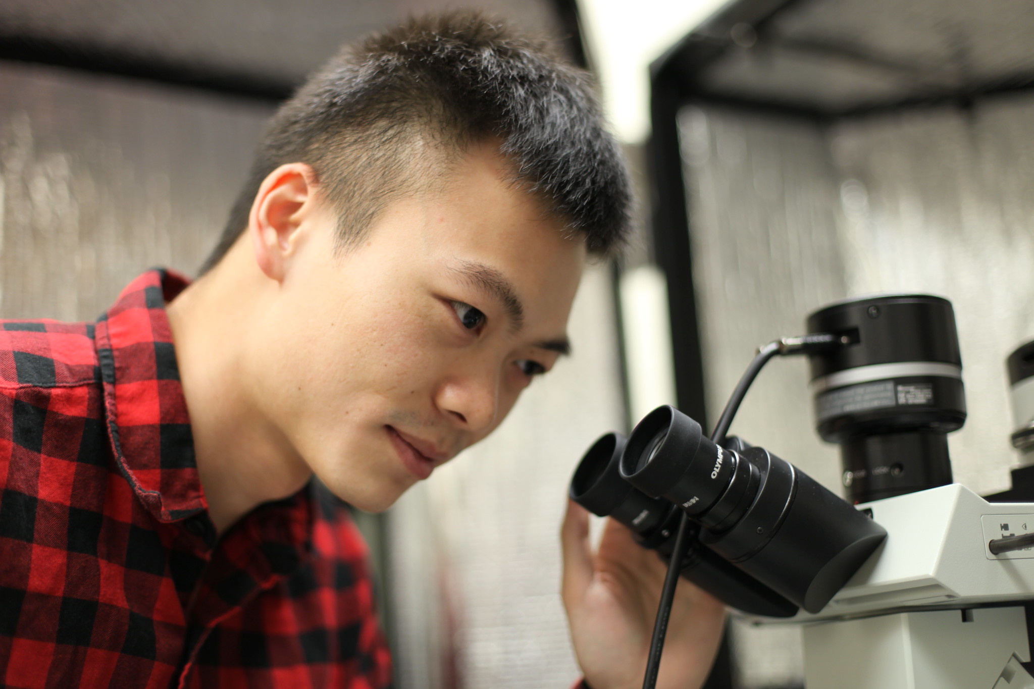 Student working with a microscope in a lab.