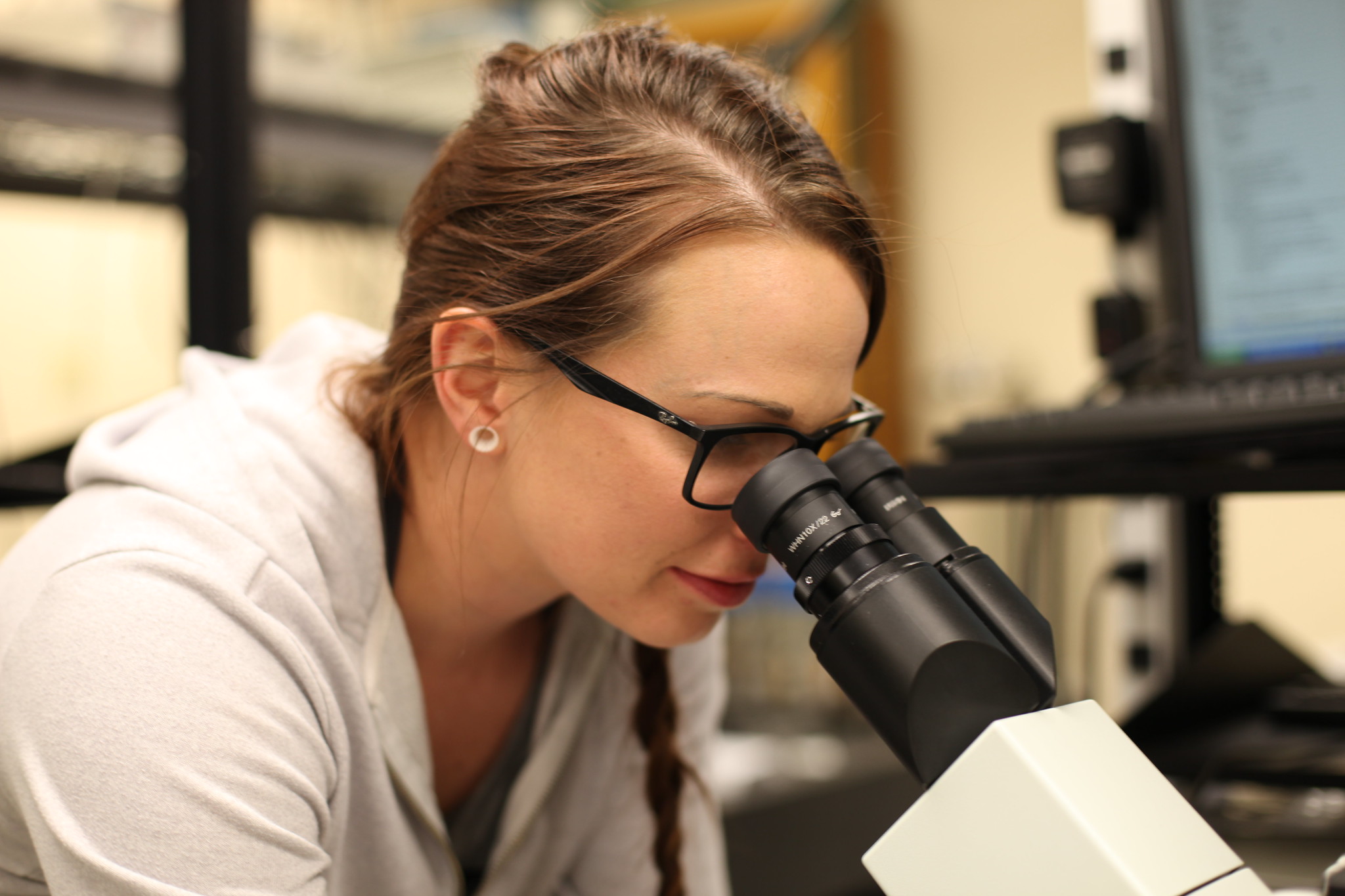 Researcher looking through a microscope in a lab.