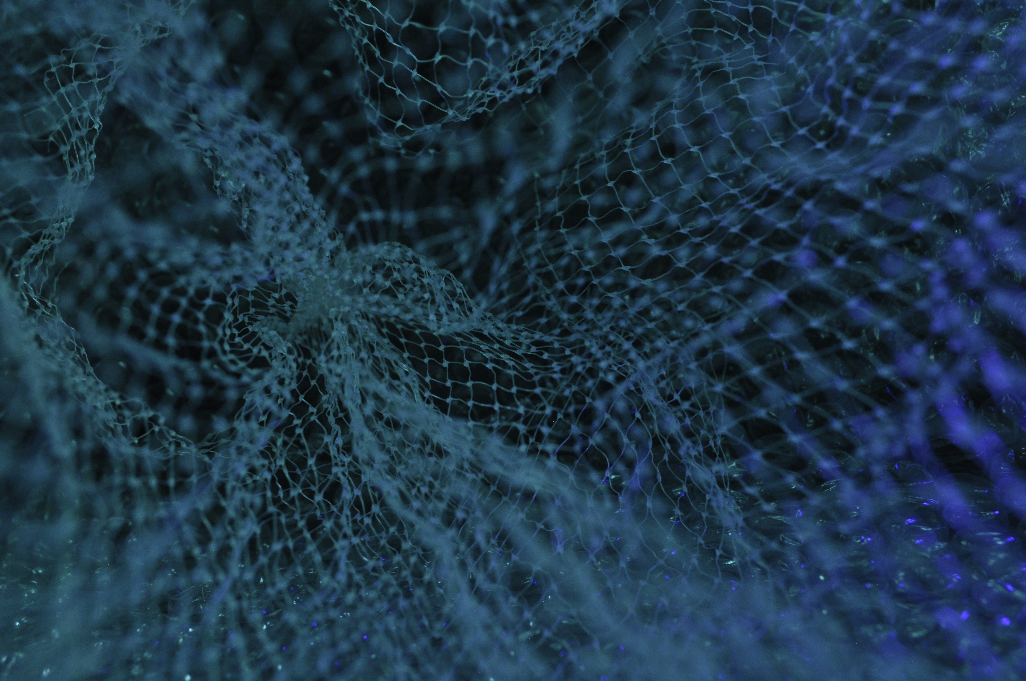Abstract visualization of data networks.