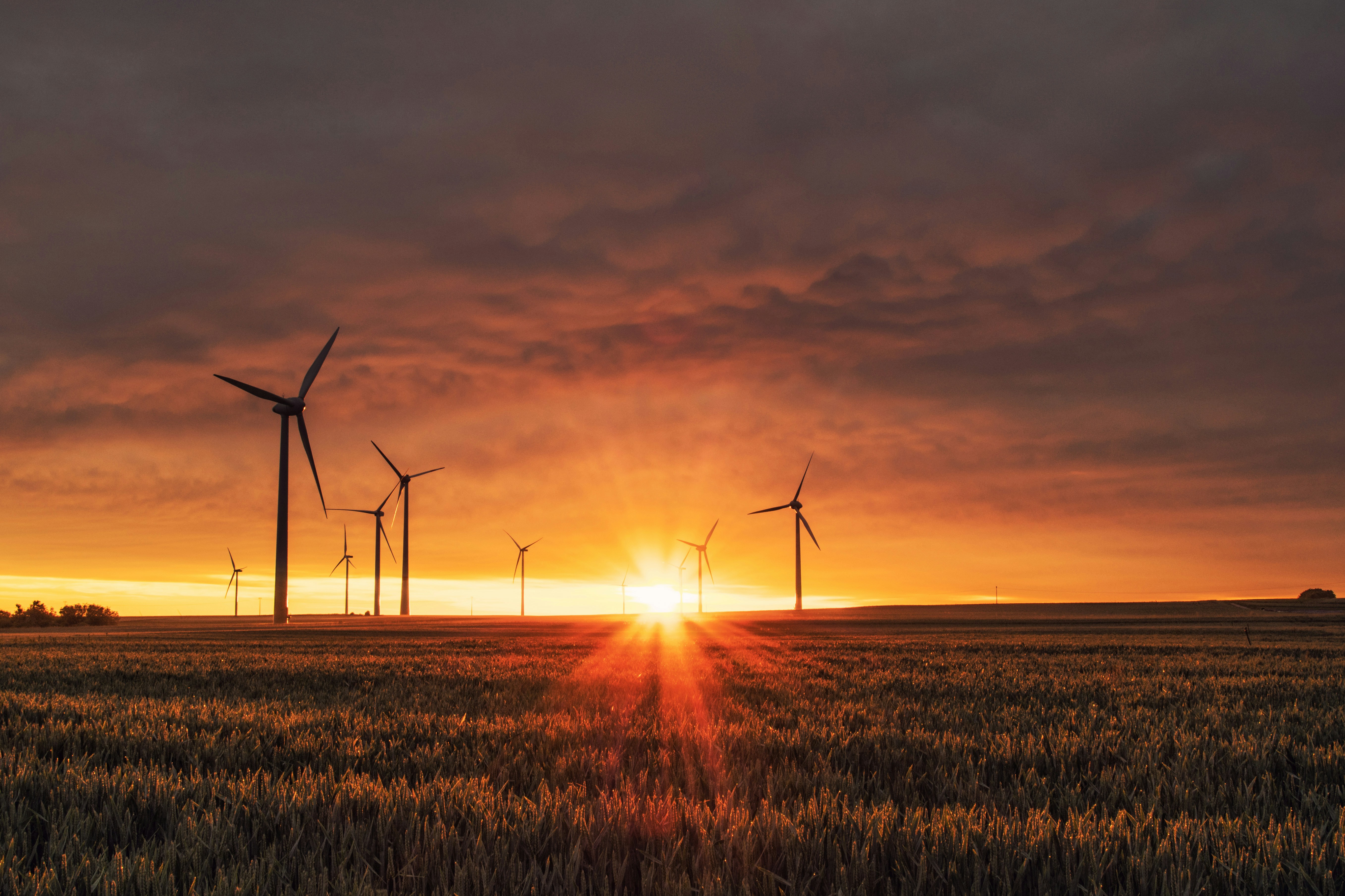 Wind farm in a natural landscape.