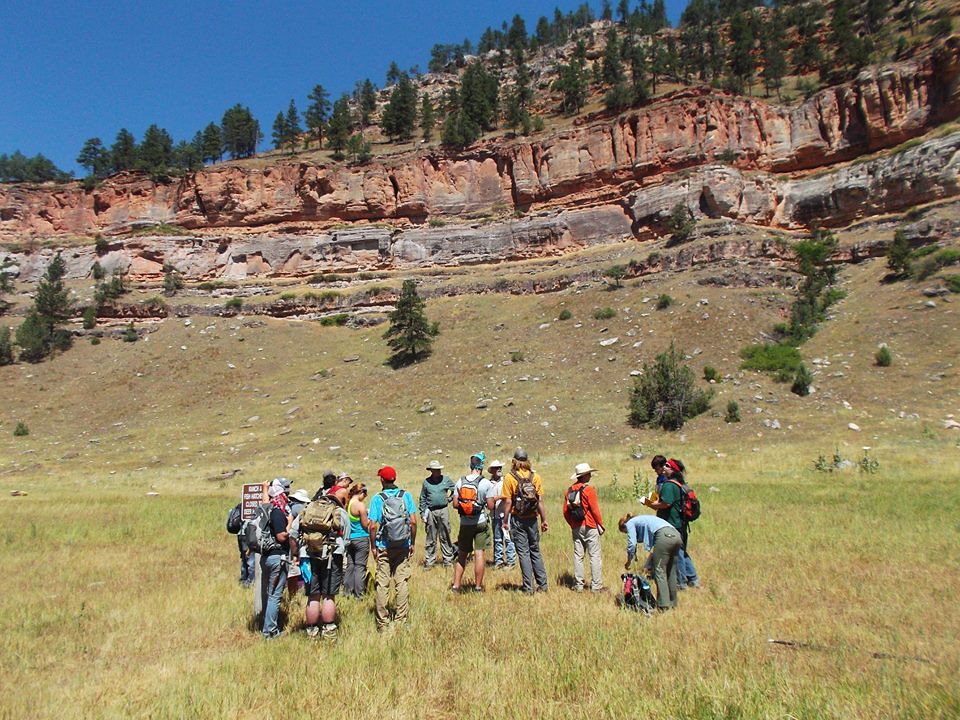 Field trip with a group of students in a natural landscape.