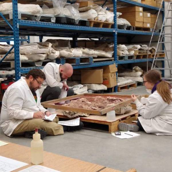Palentology Workers