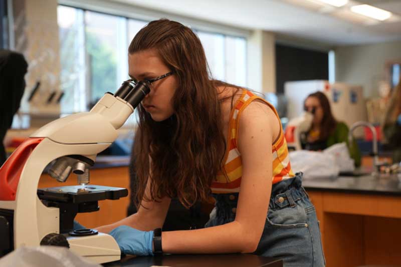 Musical electronics camps page