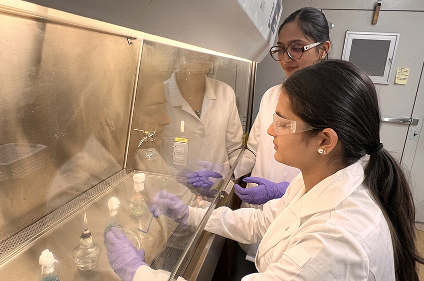 Cyanobacteria culture training with Ishika Garg, chemical and biological sciences doctoral student. 