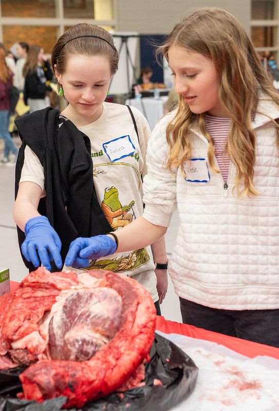 YISRC’s Women in Science Conference is a free, one-day career-learning workshop designed to provide seventh graders with hands-on opportunities to explore careers in science, technology, engineering and mathematics (STEM).