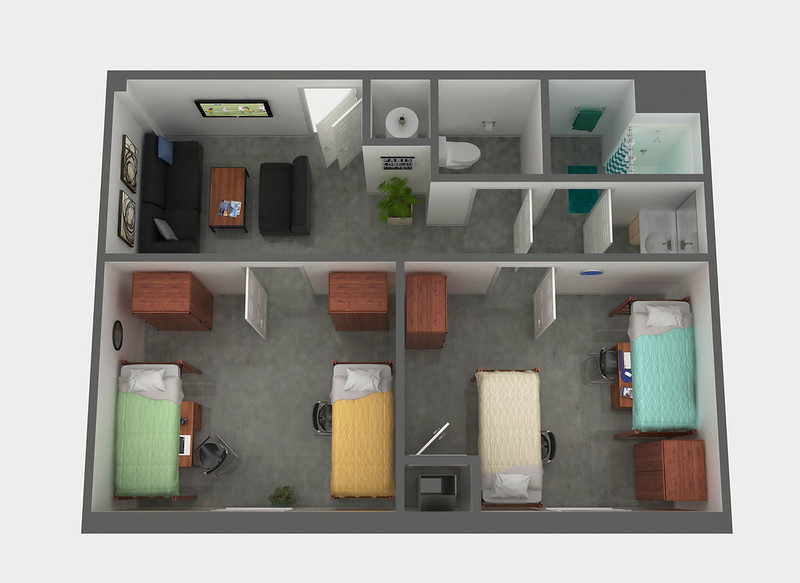 placerdoublesuite