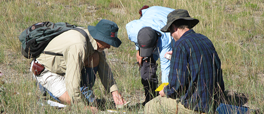 South Dakota Mines students doing geology field work