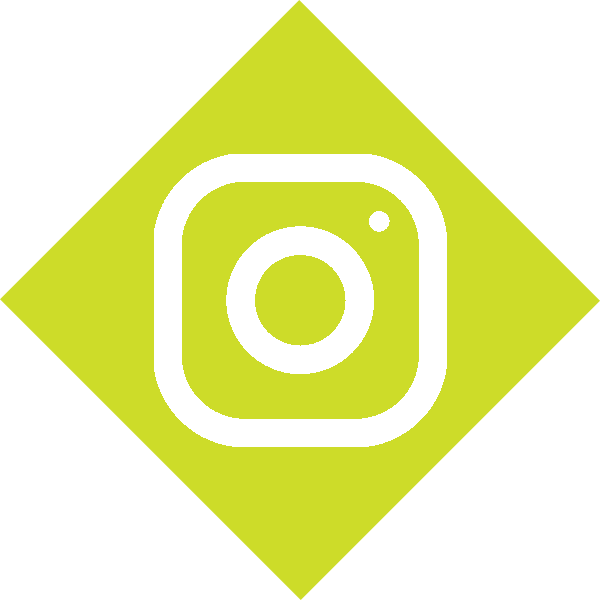 Instagram Footer Icon